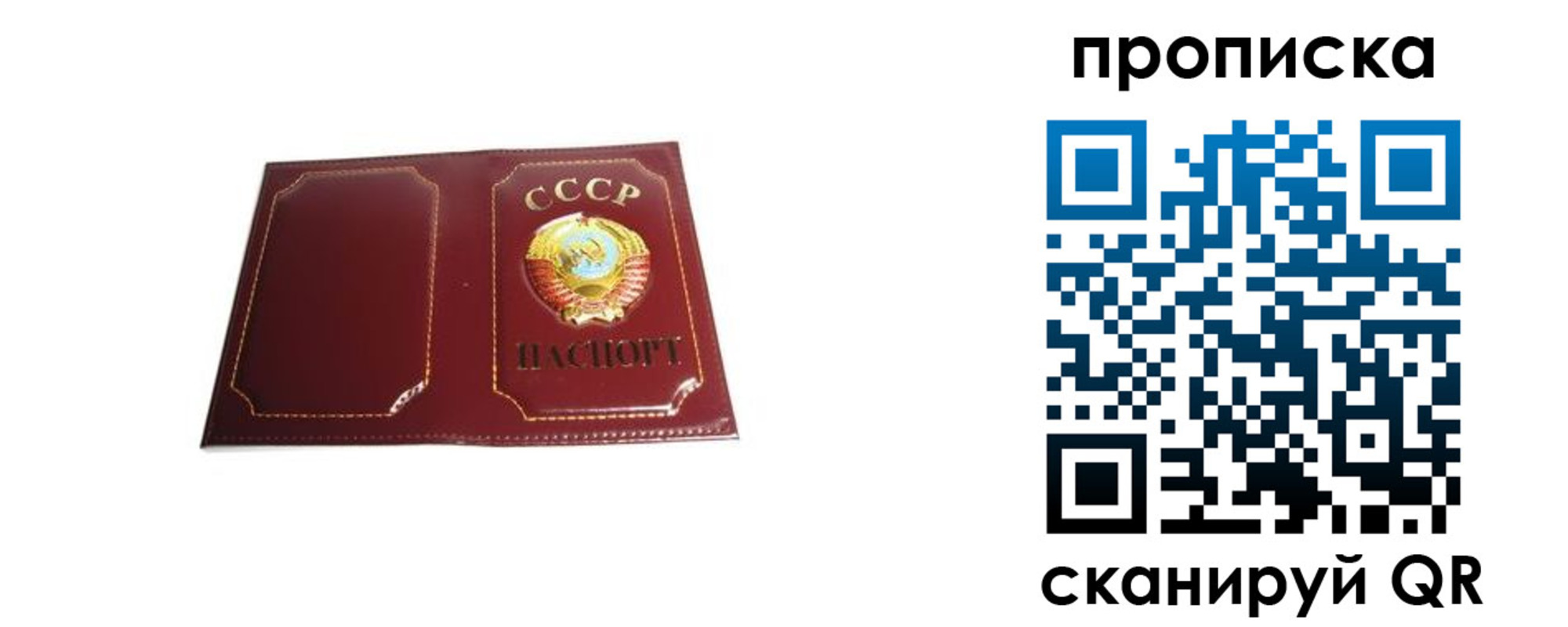 прописка гарантия в Борисоглебске
